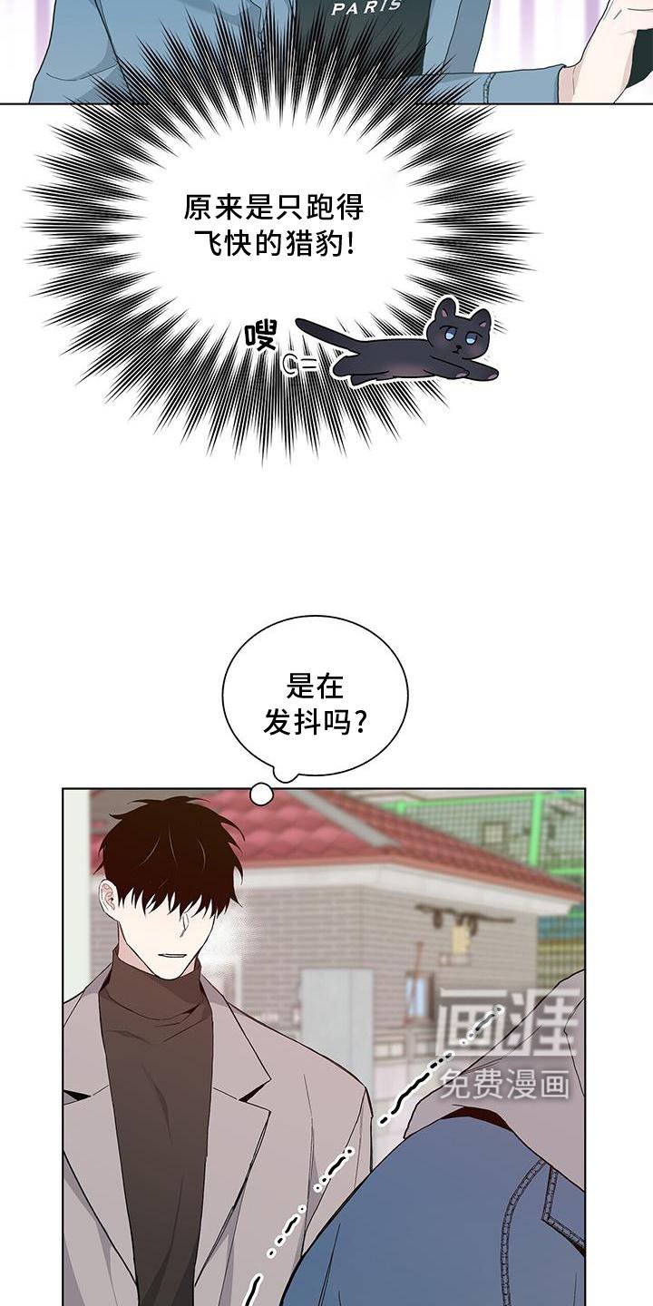 第17章：举动