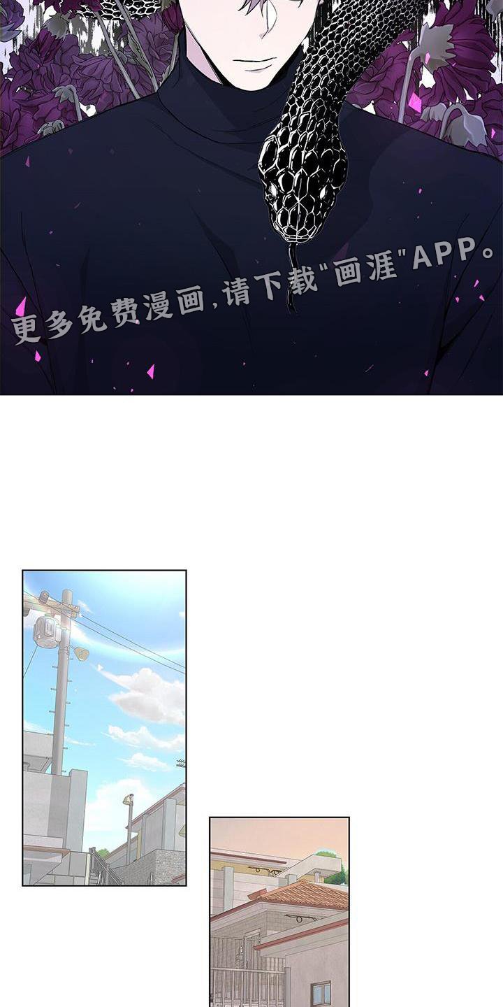 第19章：收完了