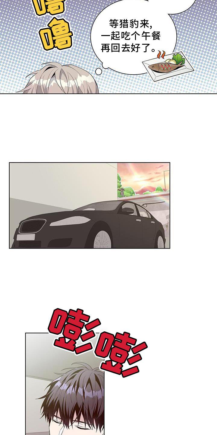第19章：收完了