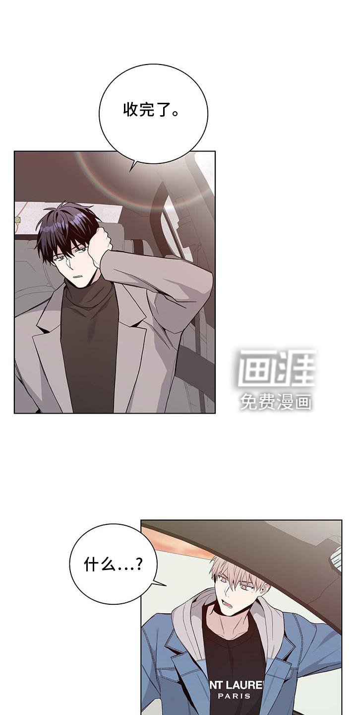 第19章：收完了