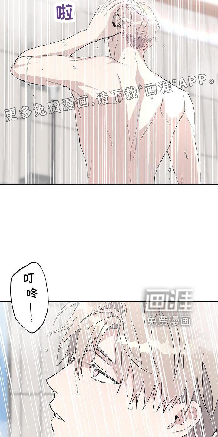 第25章：盆栽