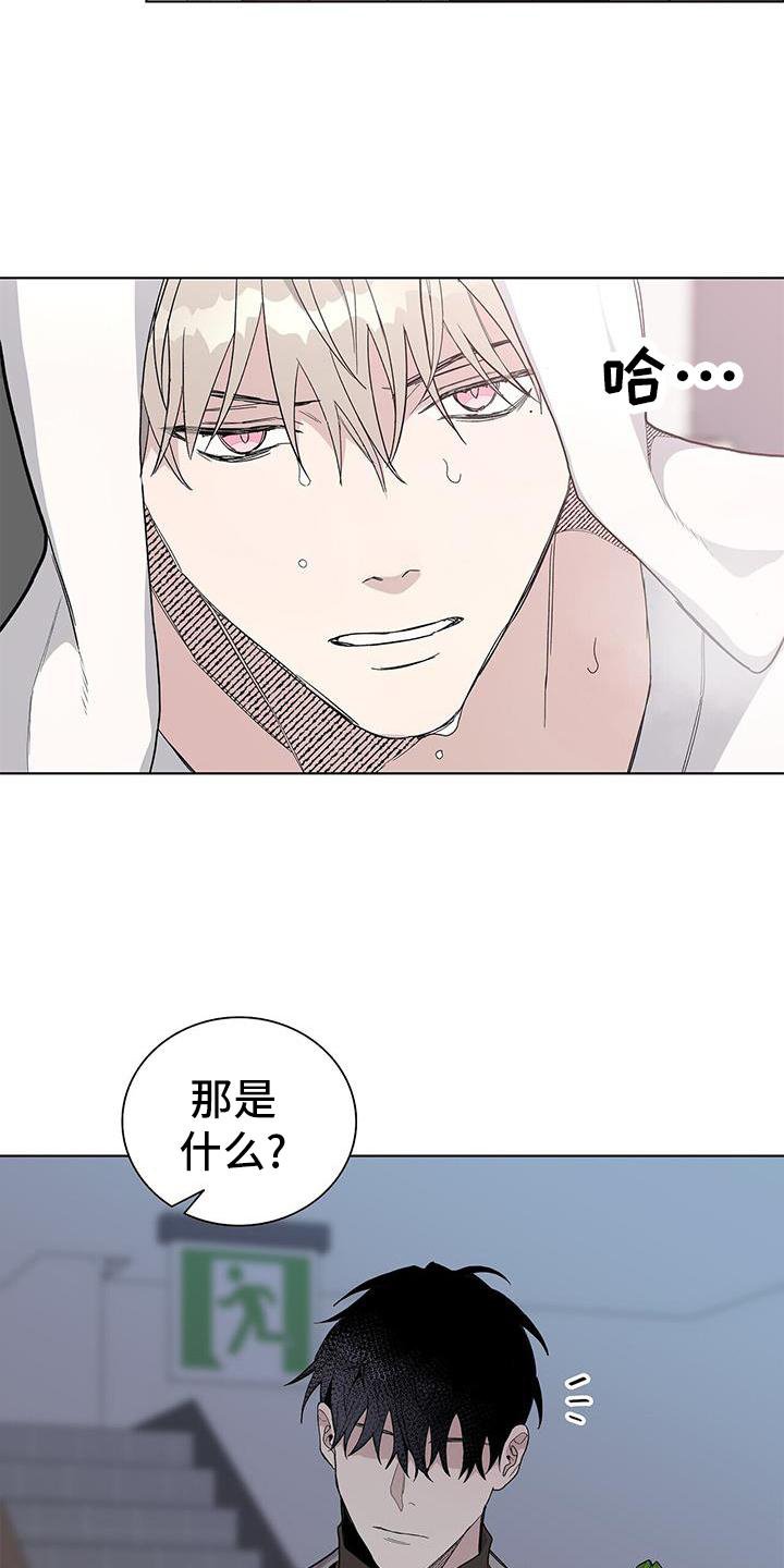 第25章：盆栽
