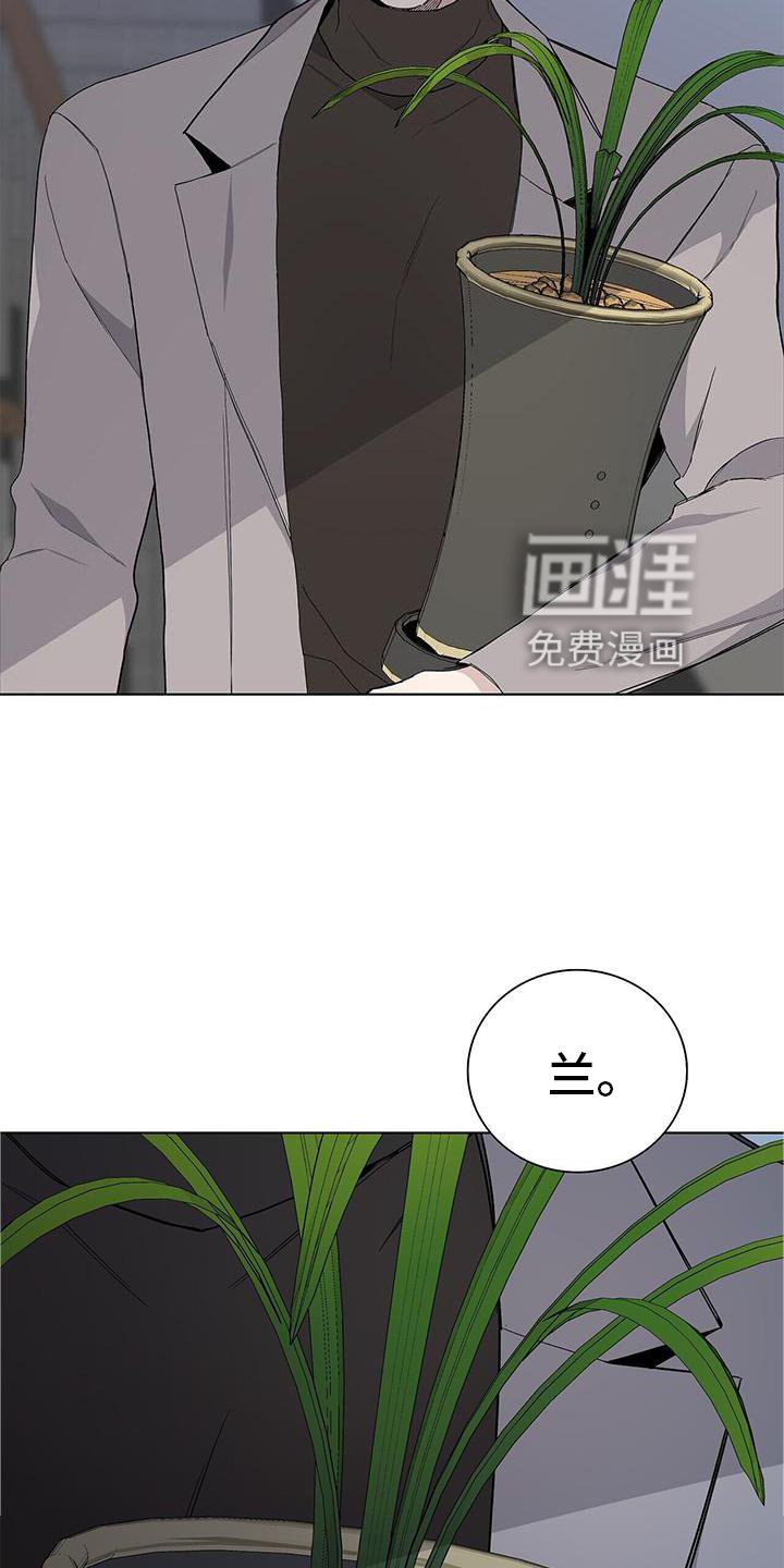 第25章：盆栽