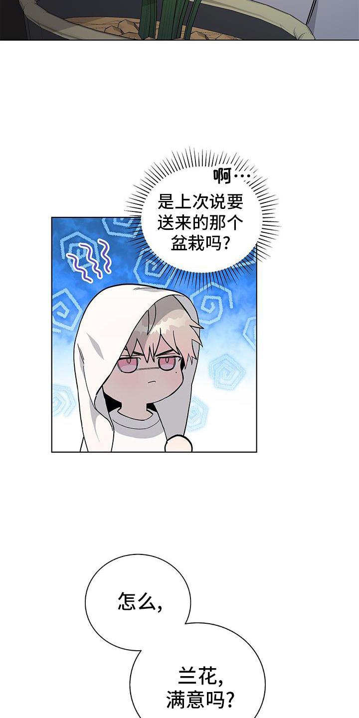 第25章：盆栽