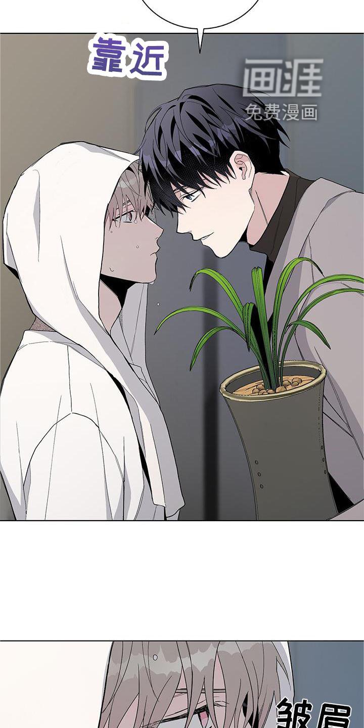 第25章：盆栽