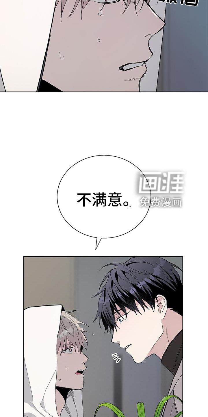 第25章：盆栽