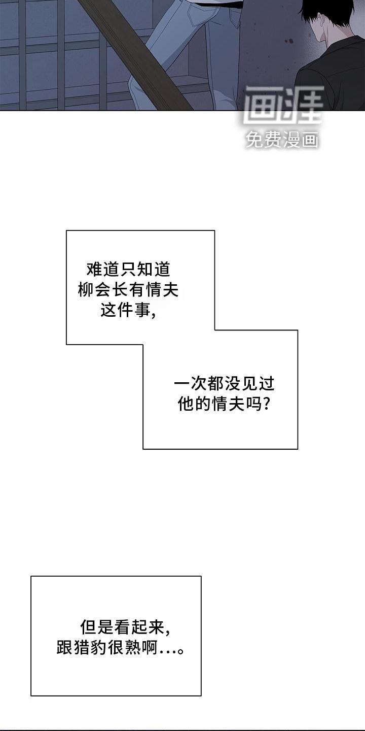 第31章：伪装