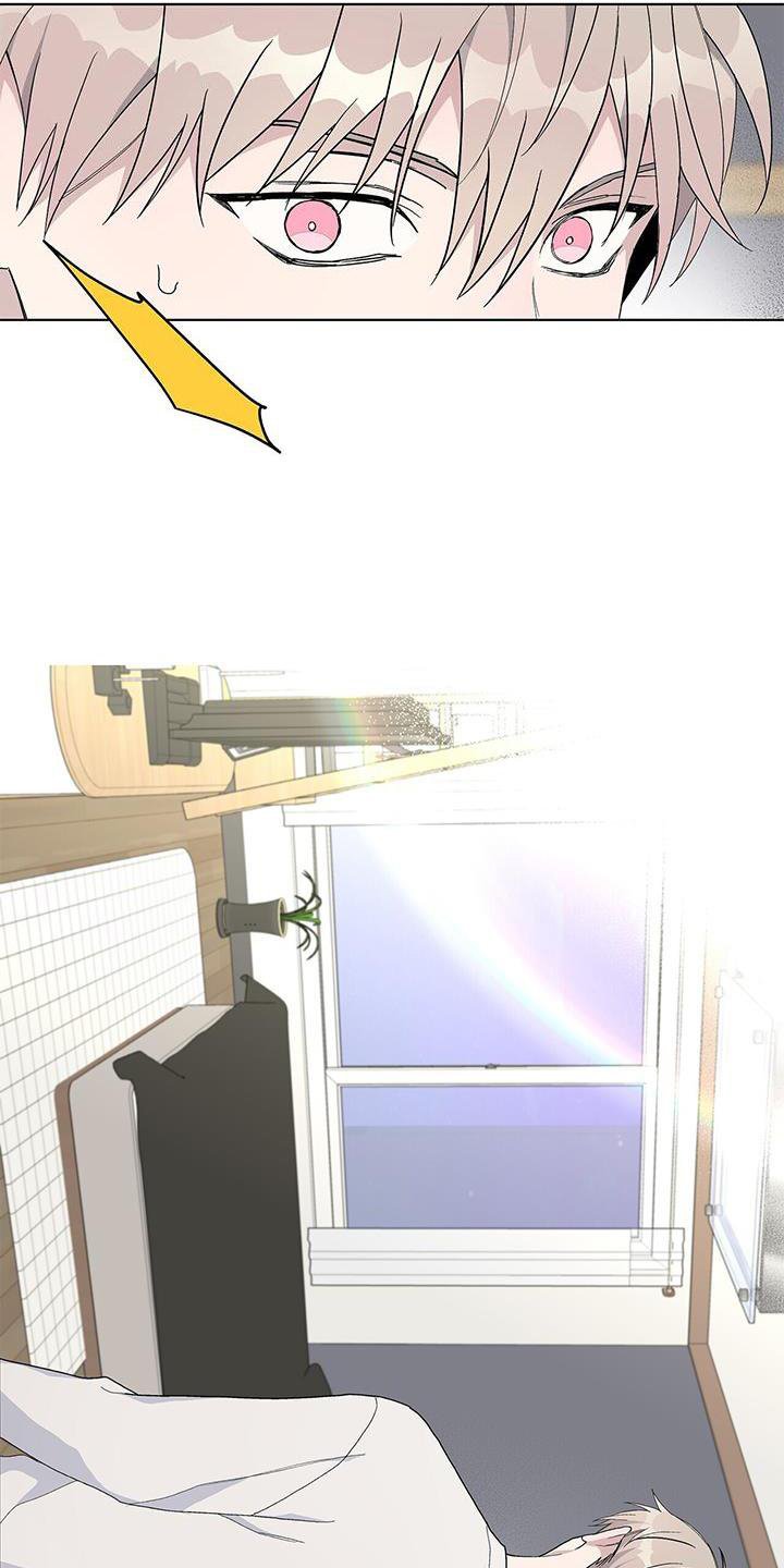 第31章：伪装
