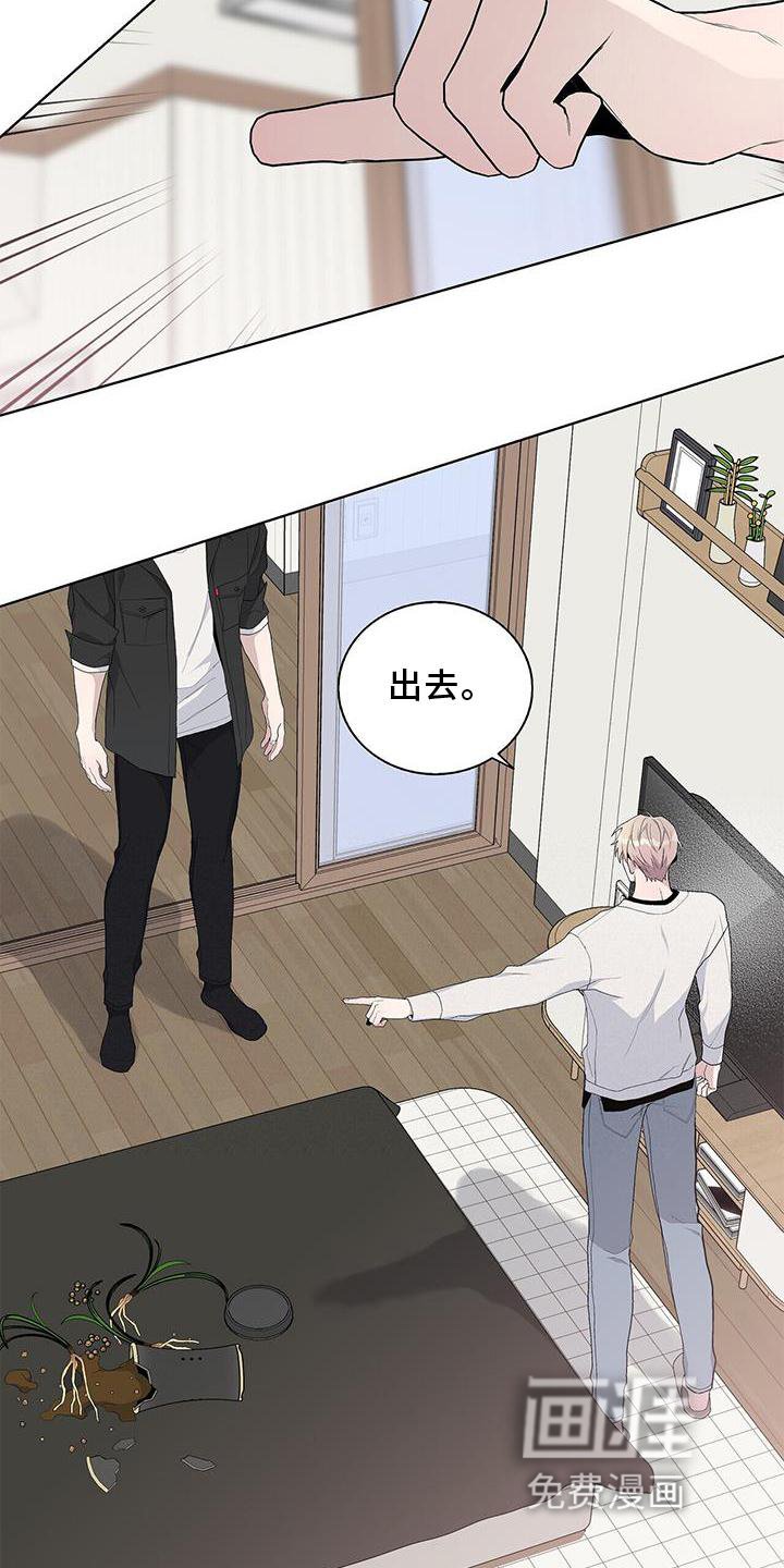 第32章：耀眼