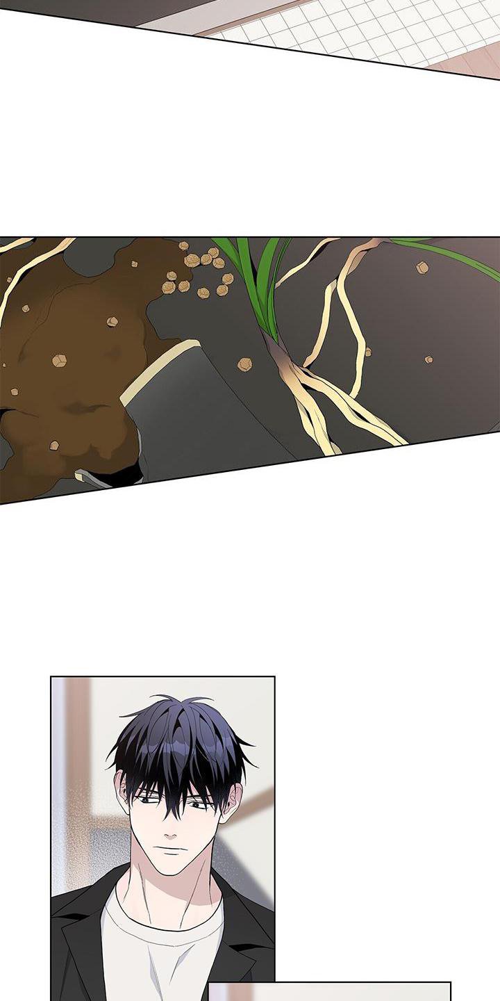 第32章：耀眼