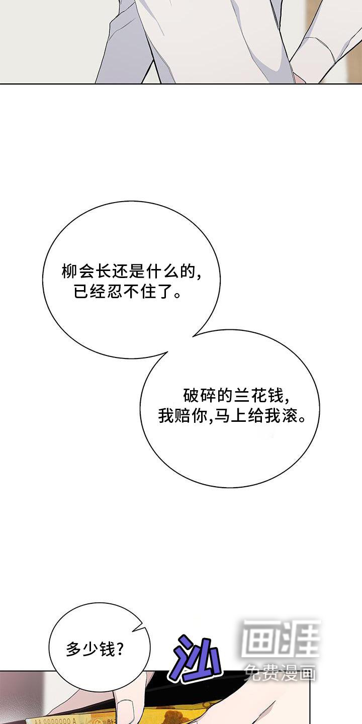 第32章：耀眼