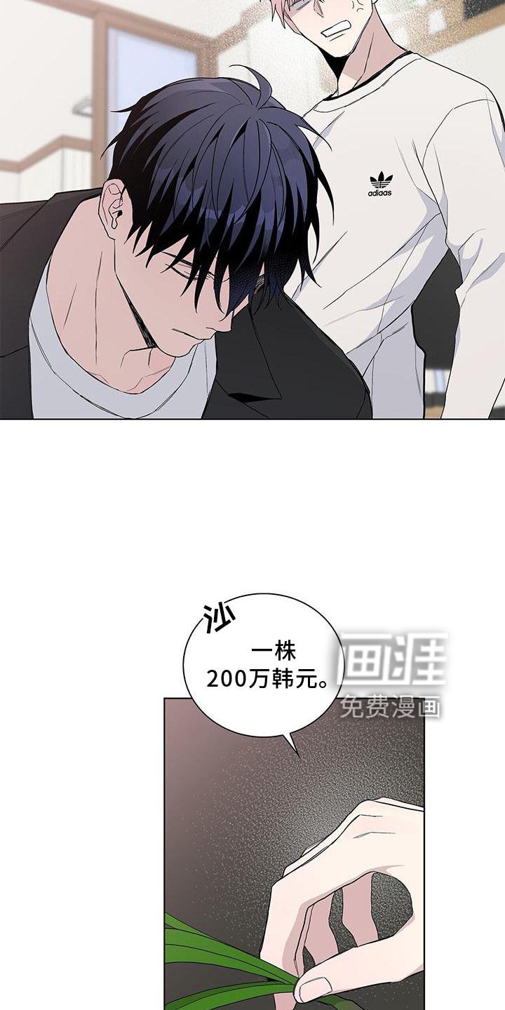 第32章：耀眼