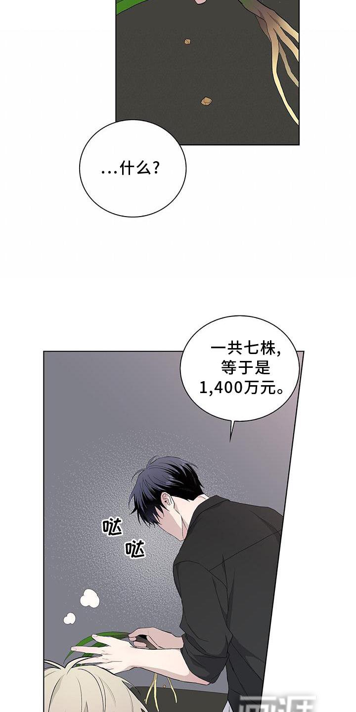 第32章：耀眼