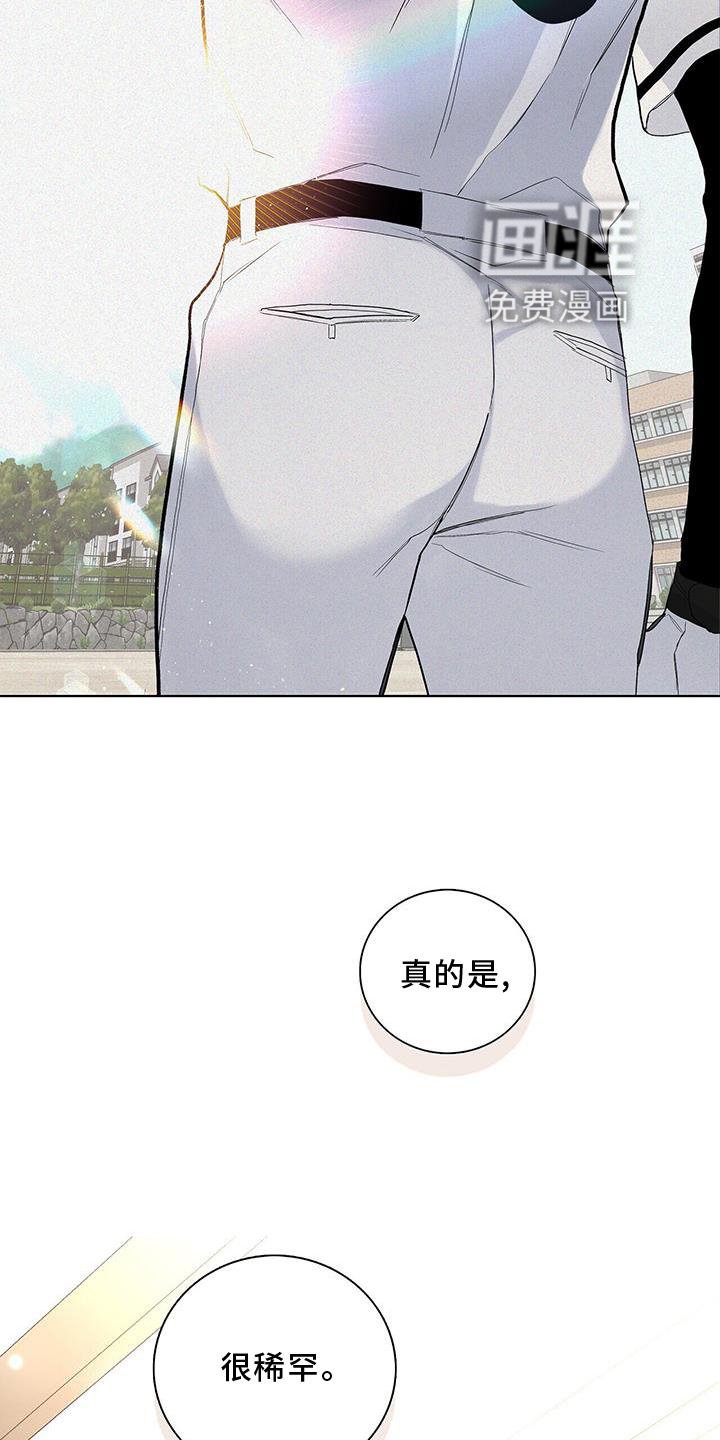 第32章：耀眼