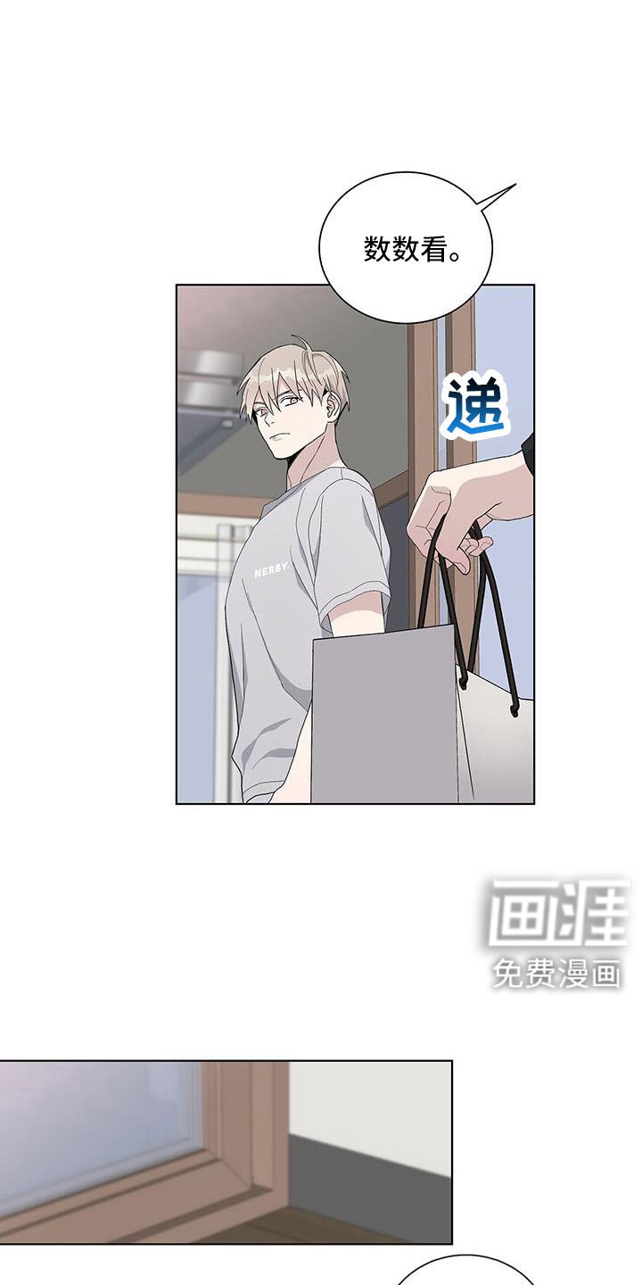 第36章：不想理解