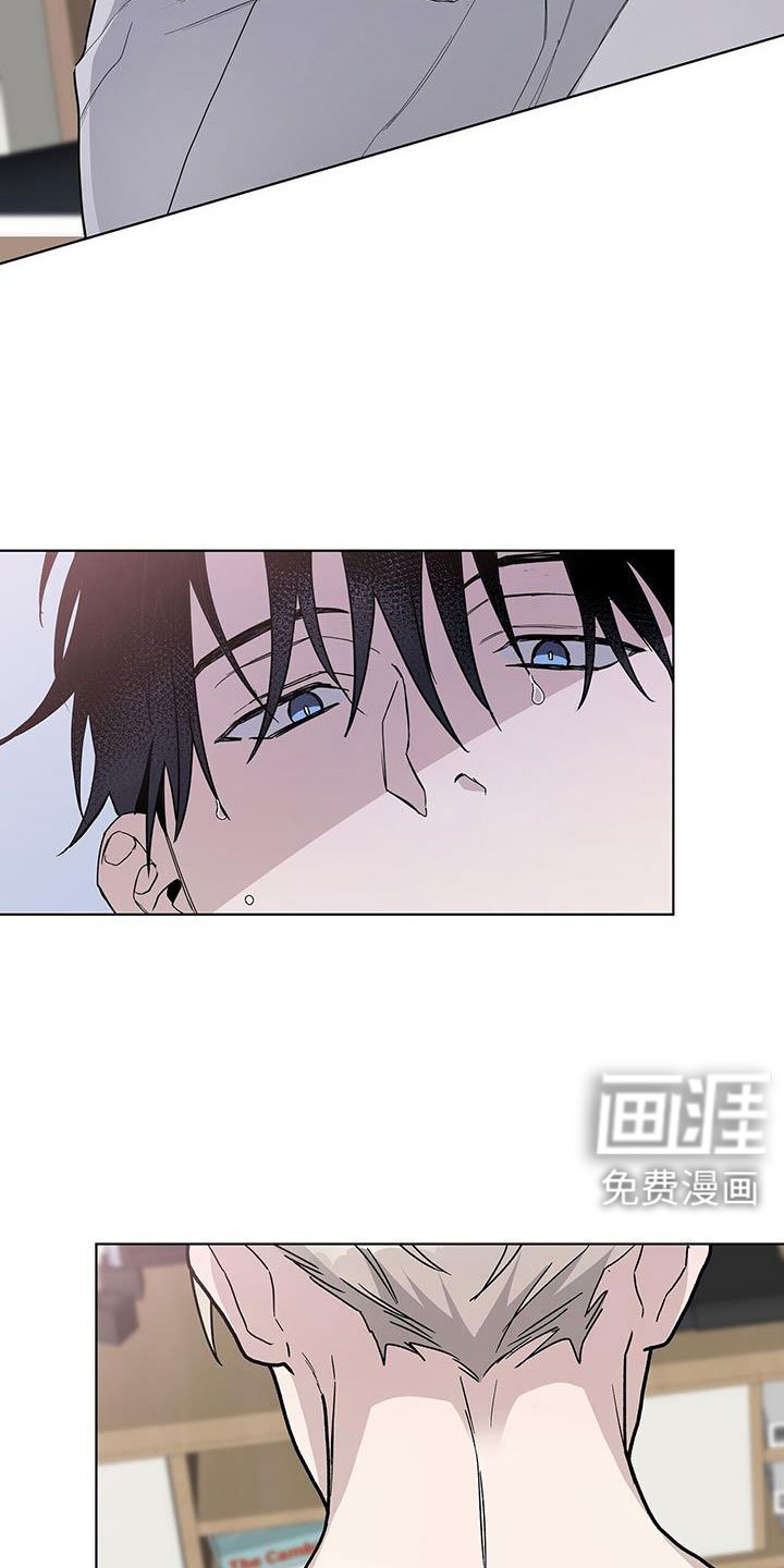 第36章：不想理解