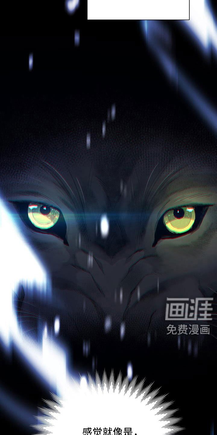 第38章：我要打