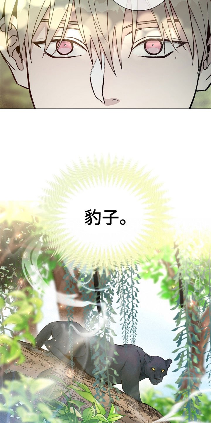 第4章：到底是谁