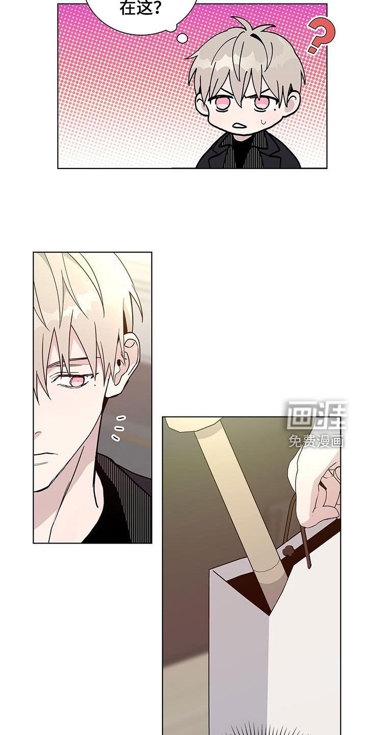 第41章：绝对