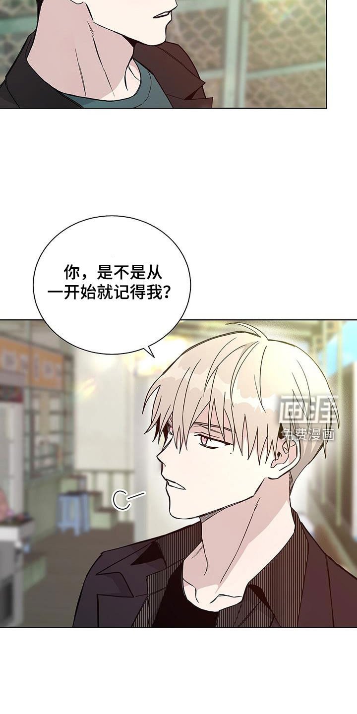 第41章：绝对
