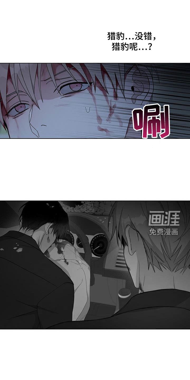 第52章：车祸