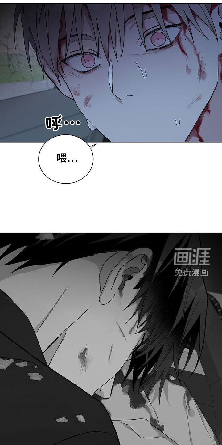 第52章：车祸