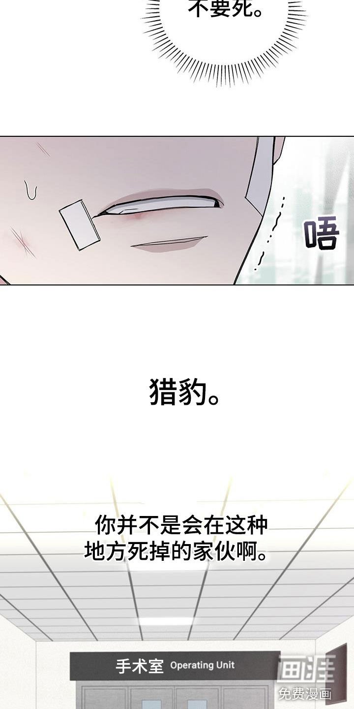 第52章：车祸