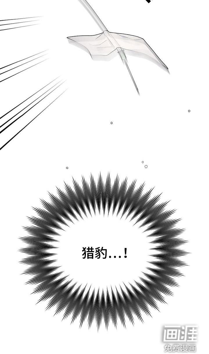 第53章：不是偶然