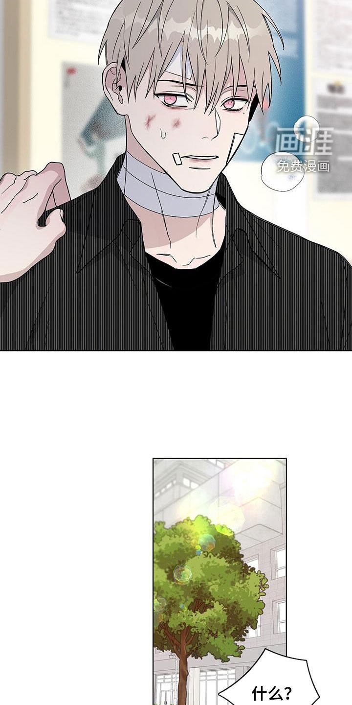 第54章：失忆