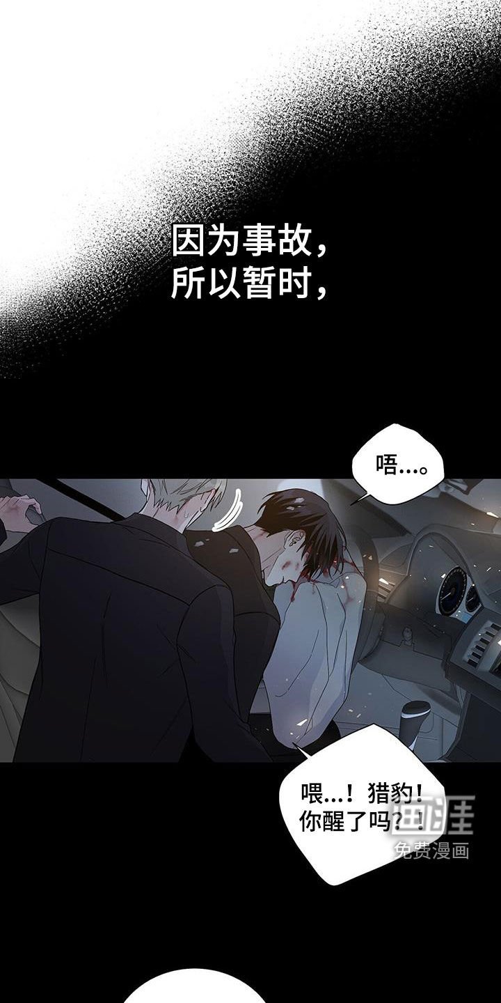 第54章：失忆