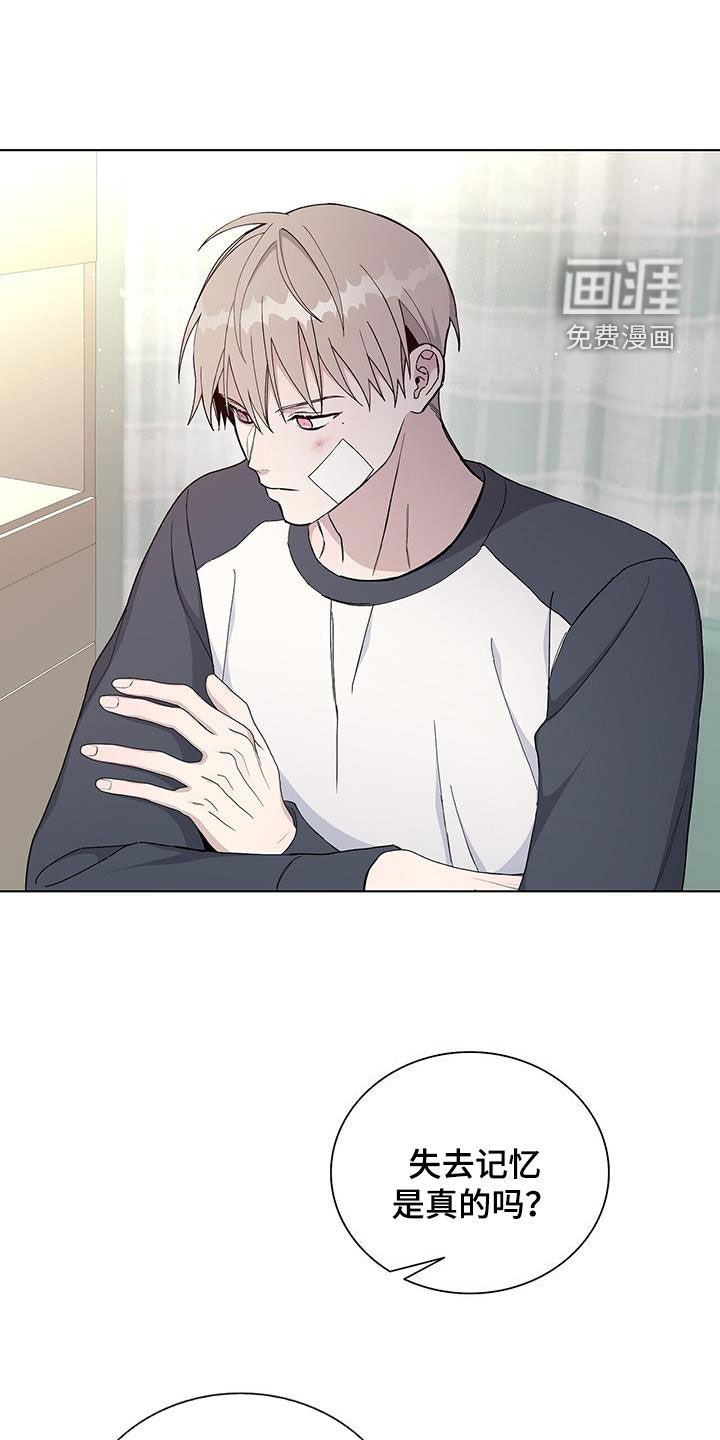 第55章：苏醒