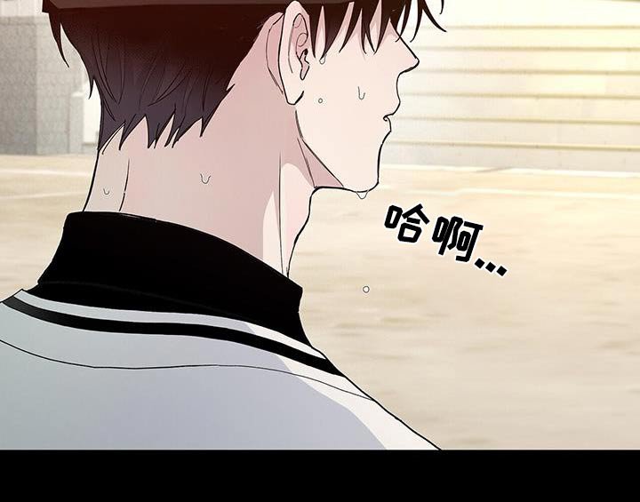第65章：寻找（第一季完结）