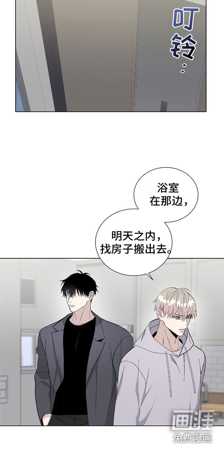 第7章：疯子