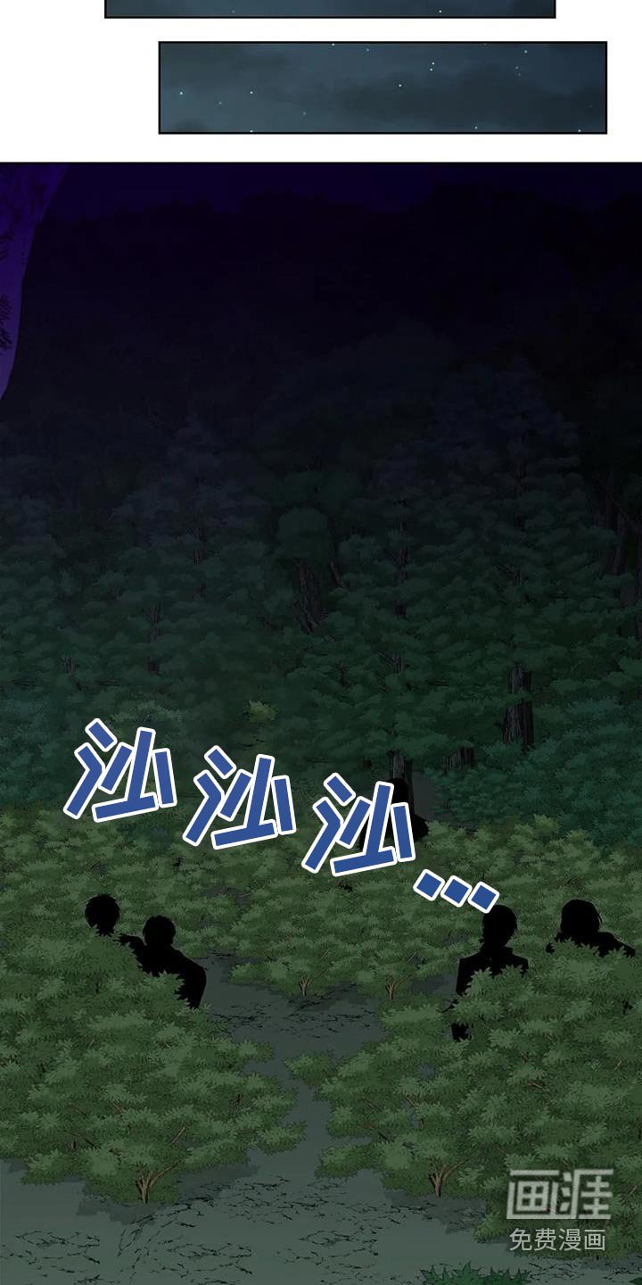 第110章：埋伏