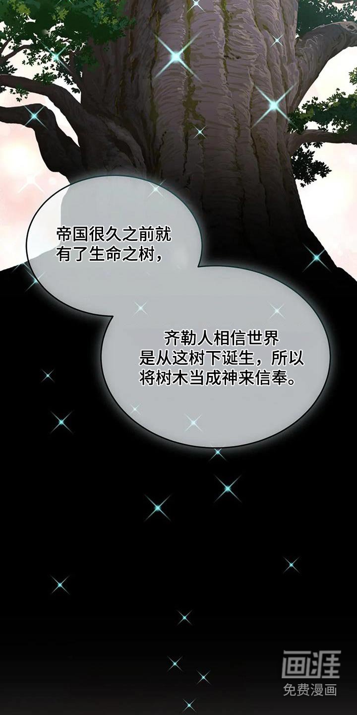 第120章：安排