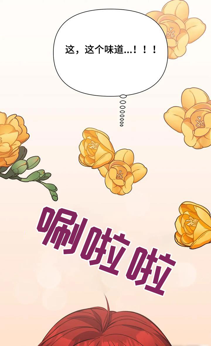 第133章：食材
