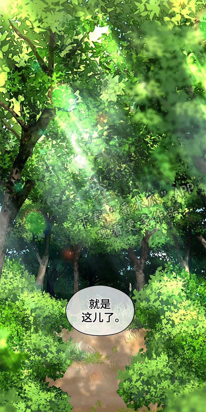 第14章：好奇