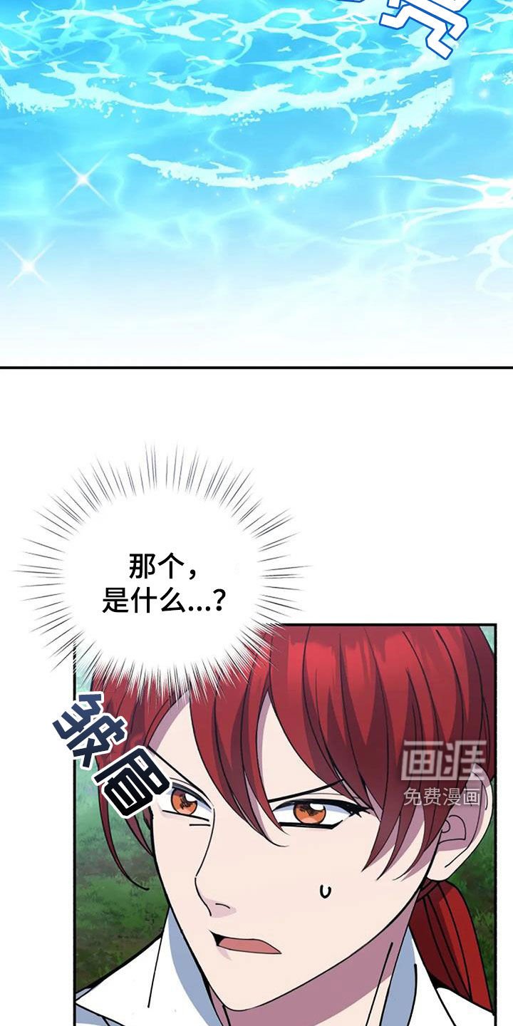 第164章：解决