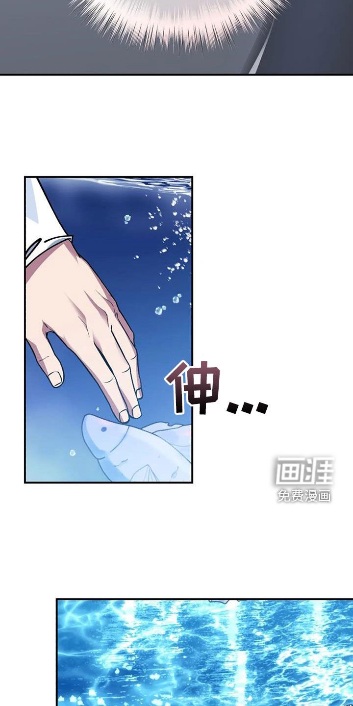 第164章：解决