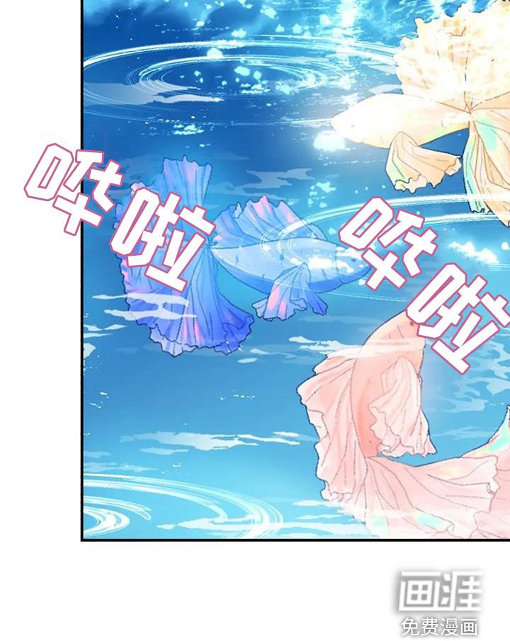第164章：解决