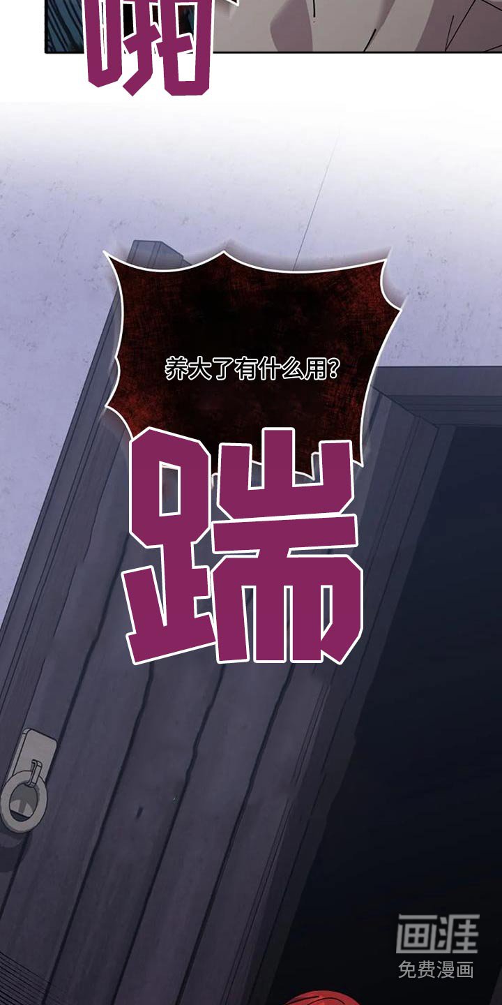 第173章：送你们