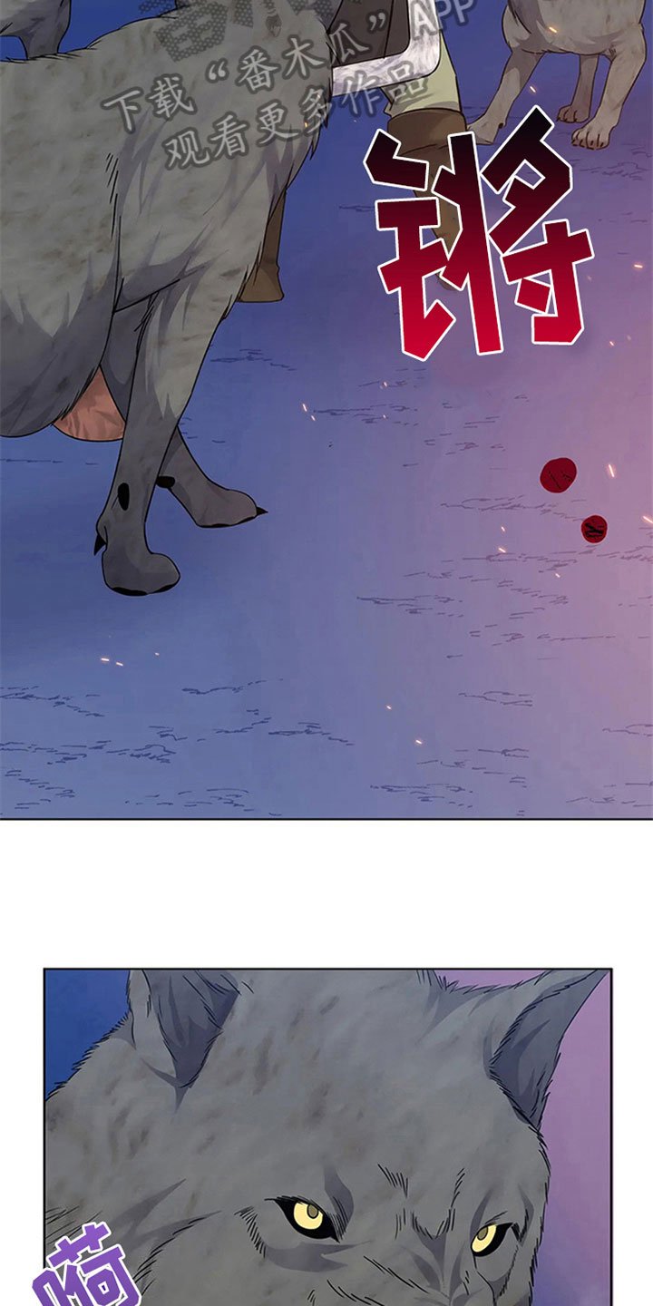 第24章：抵御