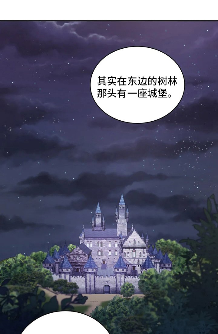 第42章：城堡