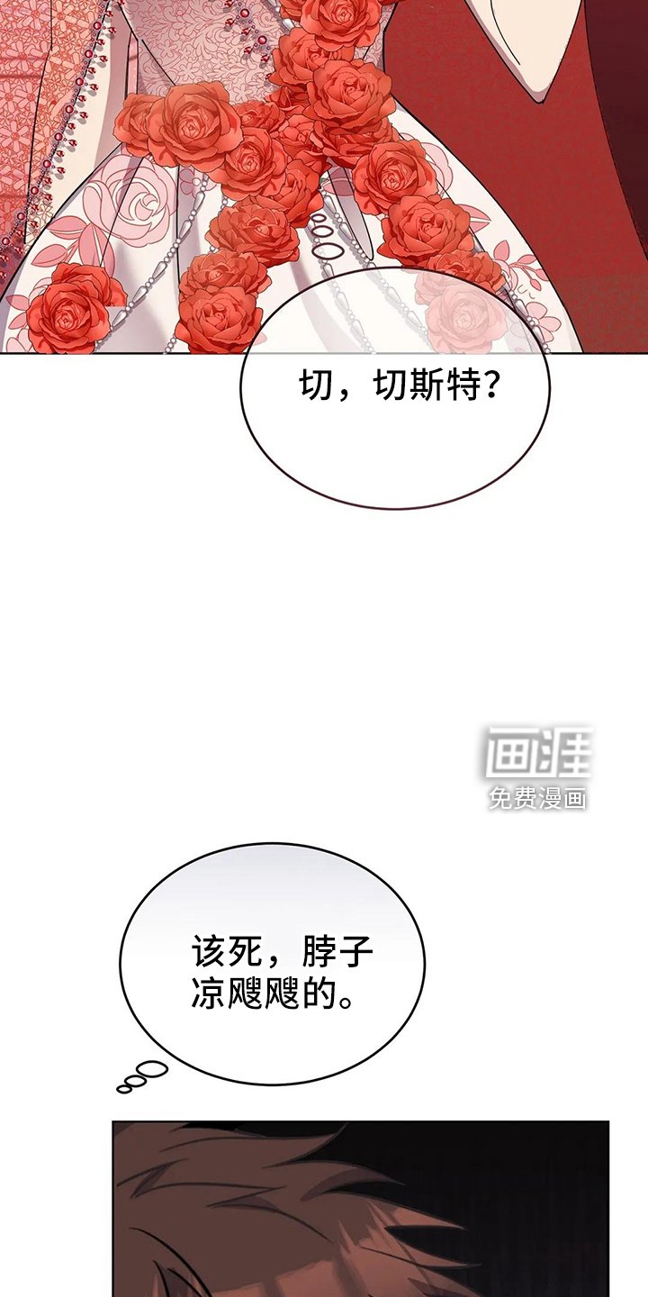 第60章：搭档