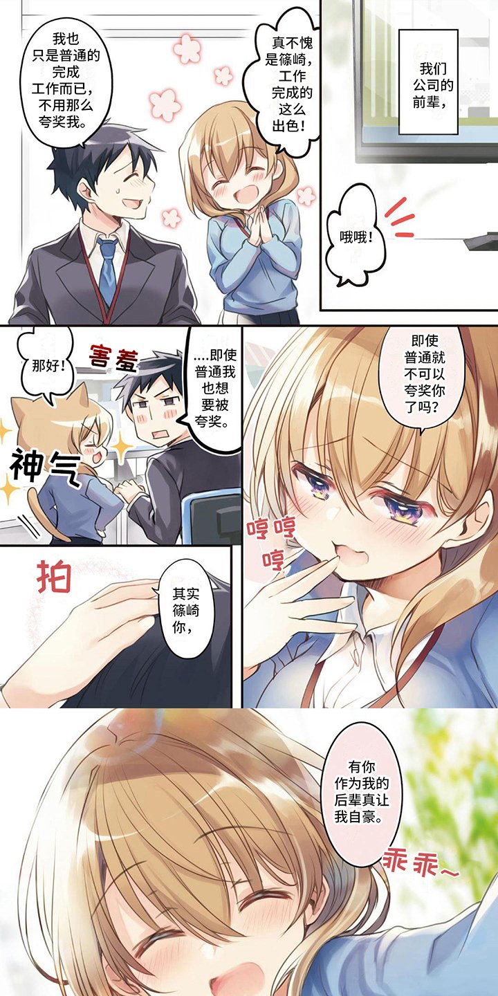 第1章：可爱前辈