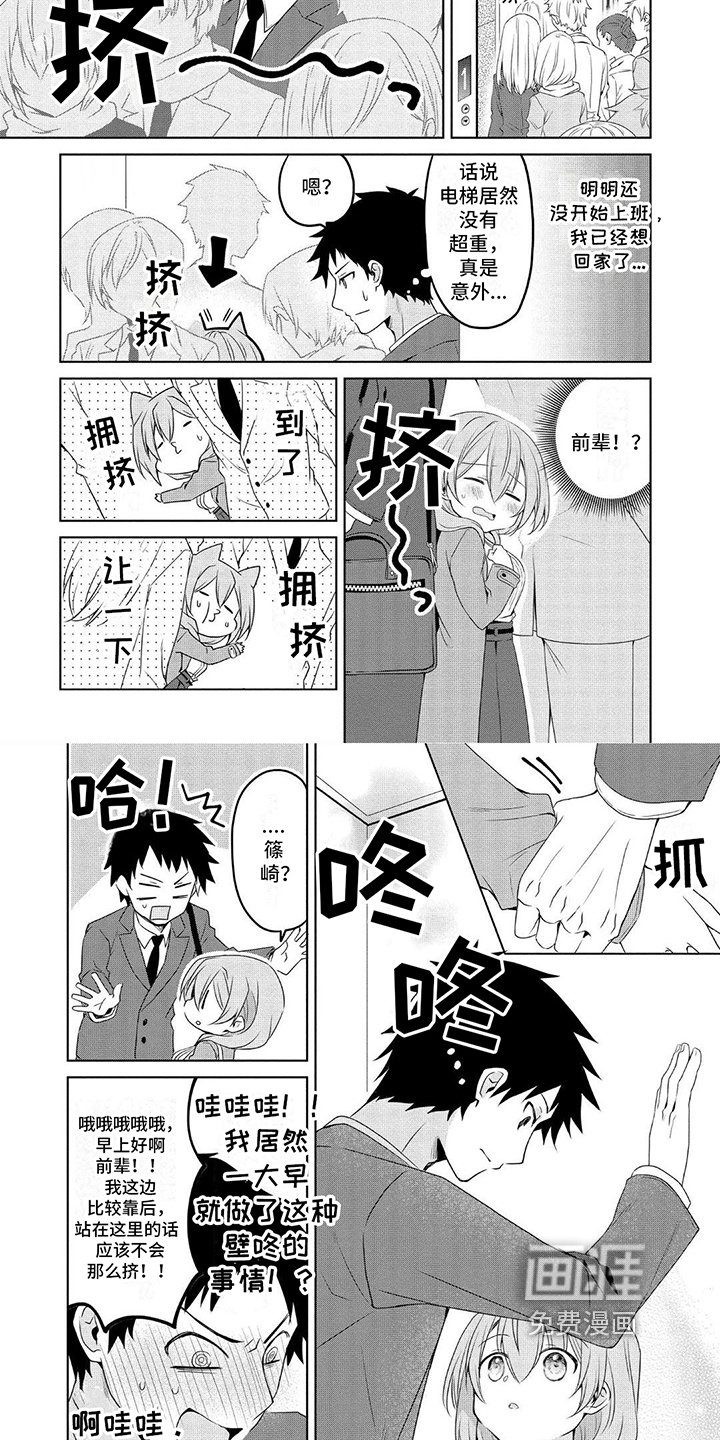 第12章：意见