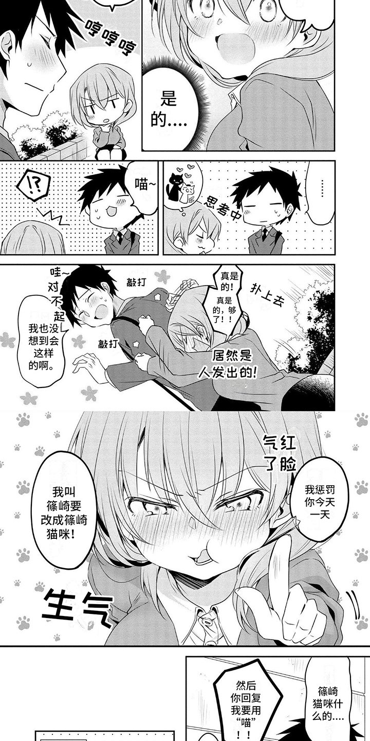第2章：猫咪