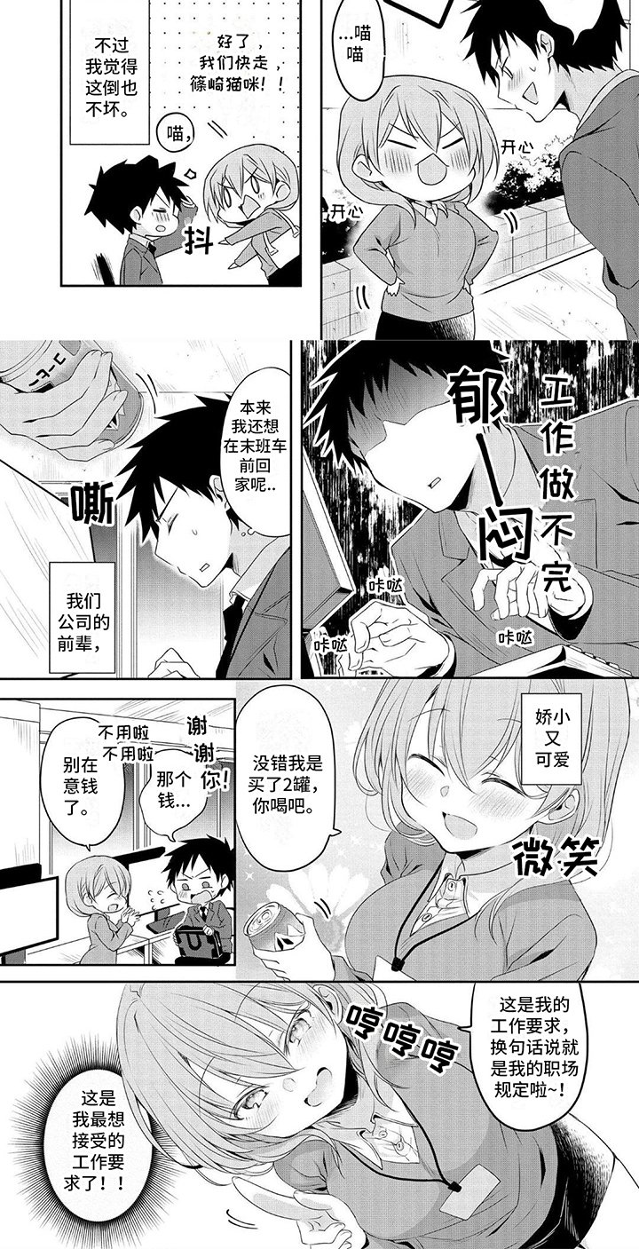 第2章：猫咪