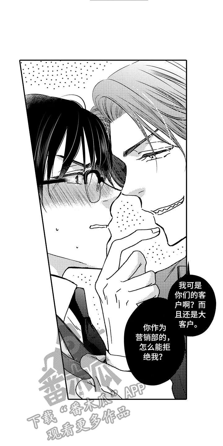 第21章：大客户