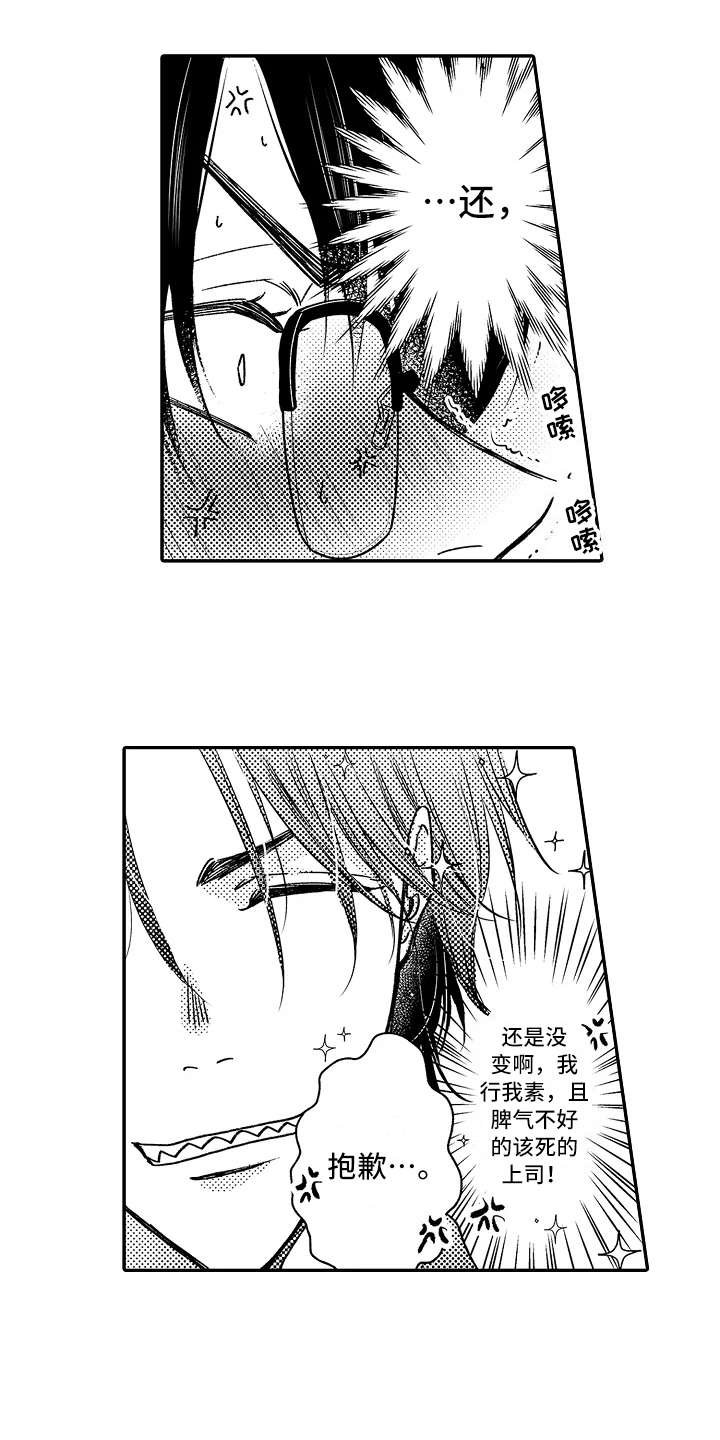 第21章：大客户